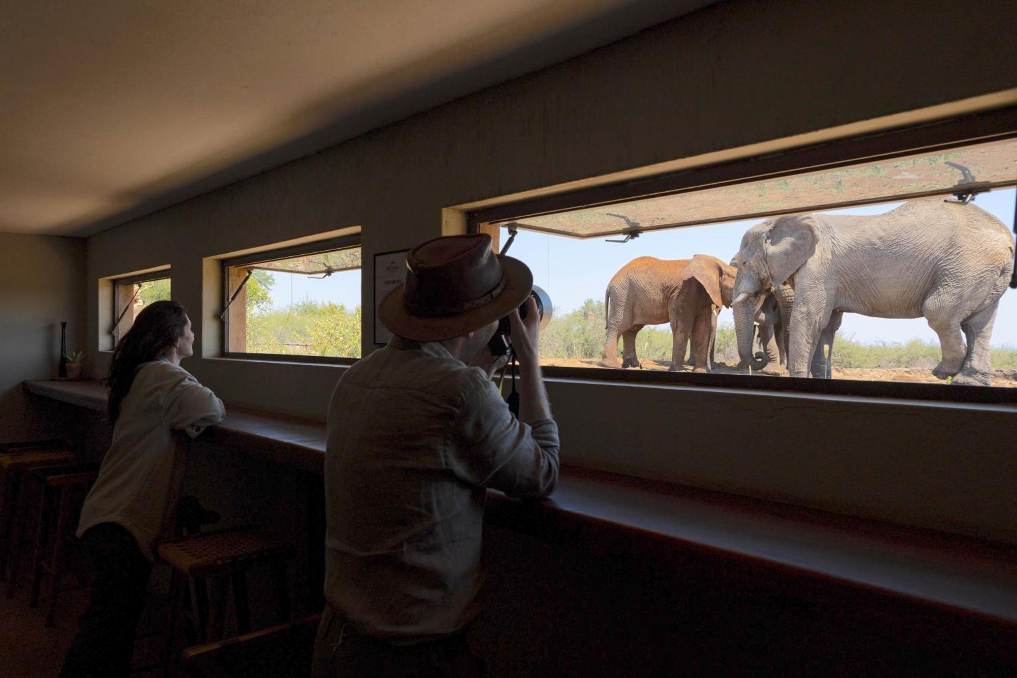 Rhulani Safari Lodge Защитен резерват „Мадикве“ Екстериор снимка