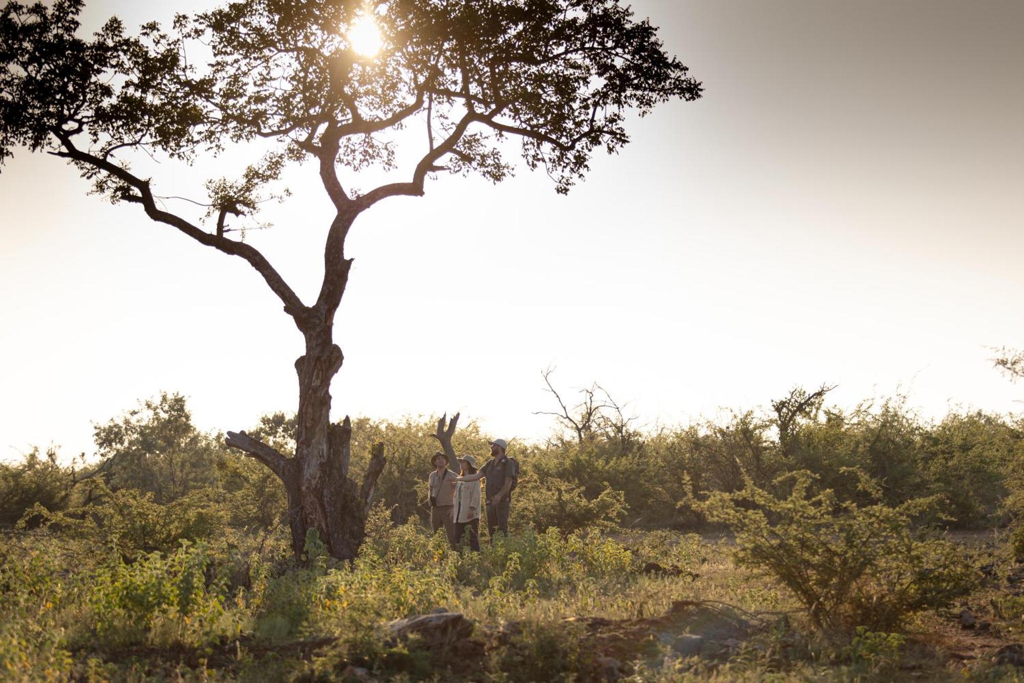 Rhulani Safari Lodge Защитен резерват „Мадикве“ Екстериор снимка