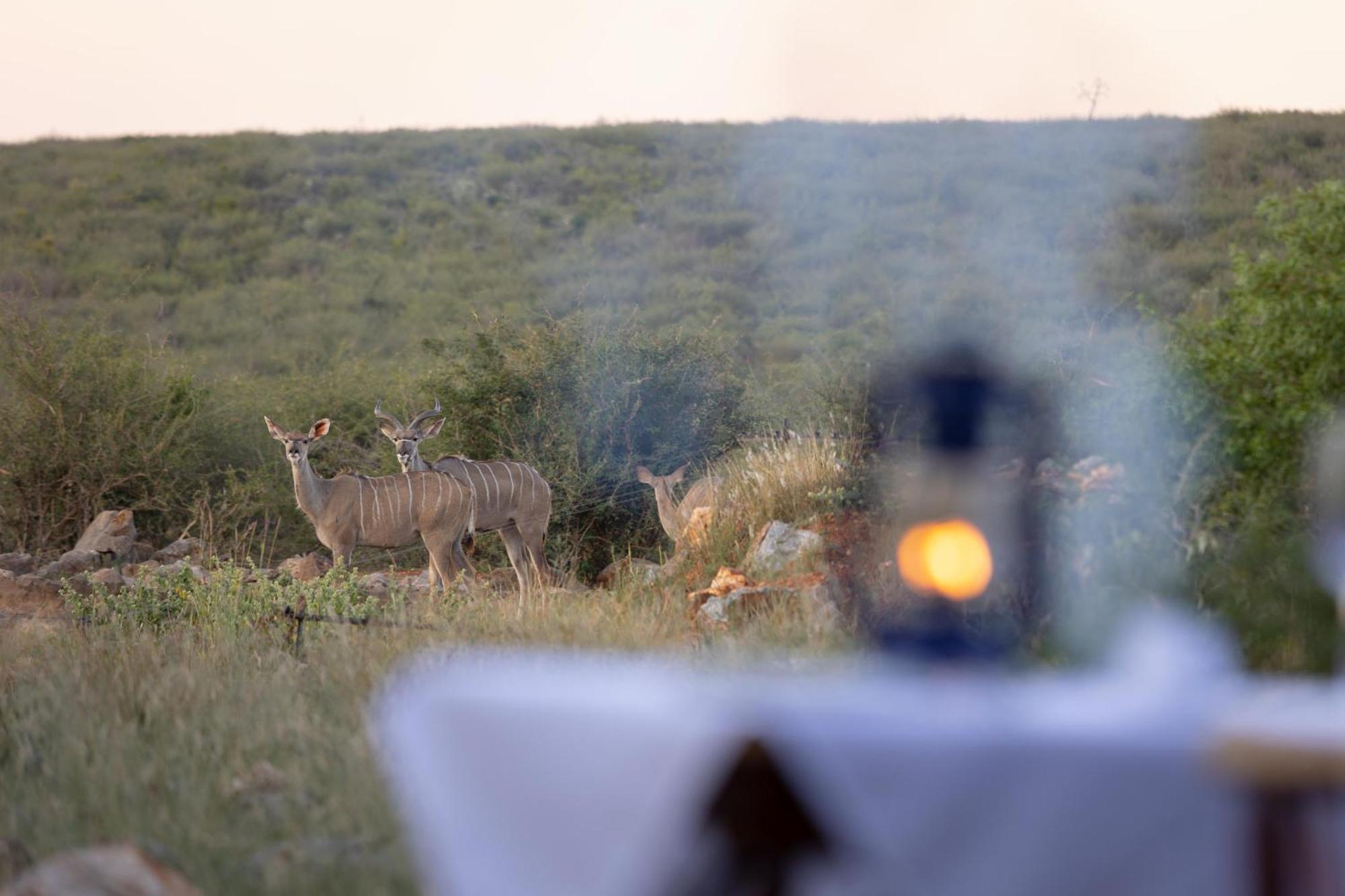 Rhulani Safari Lodge Защитен резерват „Мадикве“ Екстериор снимка