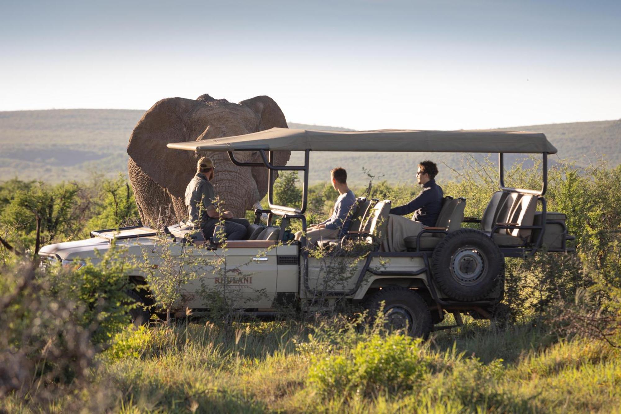 Rhulani Safari Lodge Защитен резерват „Мадикве“ Екстериор снимка