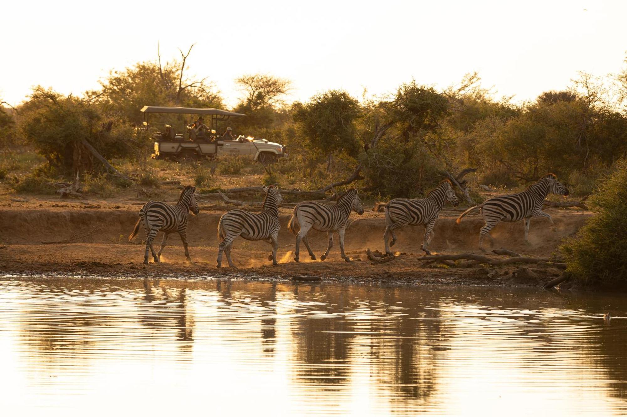 Rhulani Safari Lodge Защитен резерват „Мадикве“ Екстериор снимка