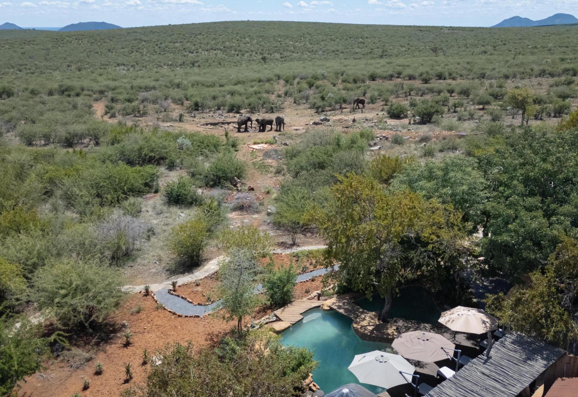 Rhulani Safari Lodge Защитен резерват „Мадикве“ Екстериор снимка