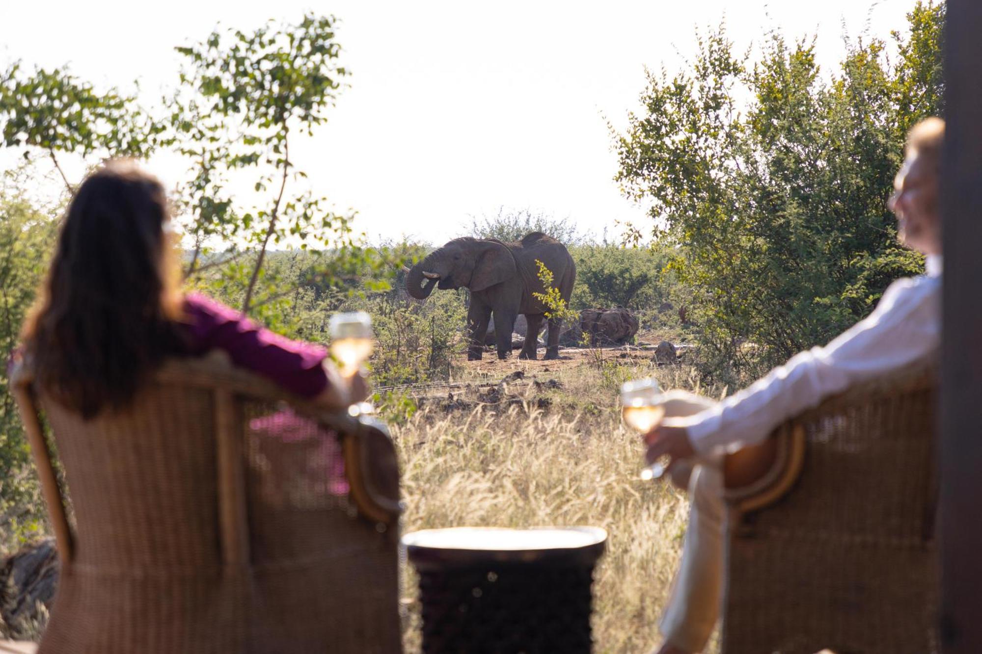 Rhulani Safari Lodge Защитен резерват „Мадикве“ Екстериор снимка