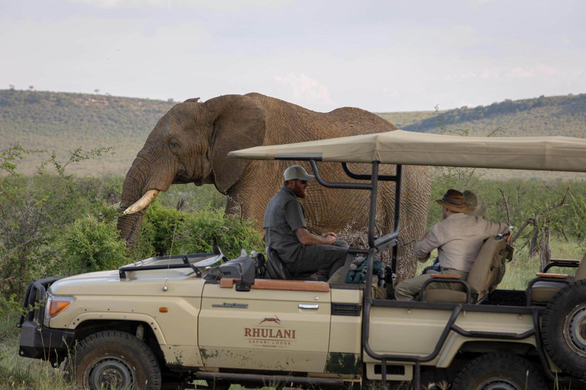 Rhulani Safari Lodge Защитен резерват „Мадикве“ Екстериор снимка