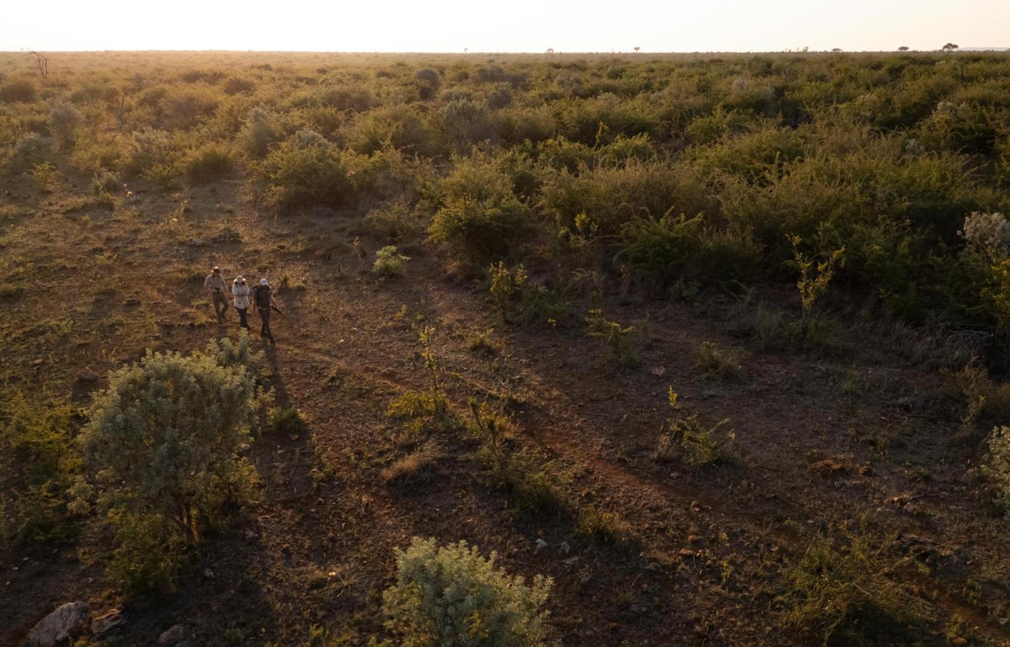 Rhulani Safari Lodge Защитен резерват „Мадикве“ Екстериор снимка