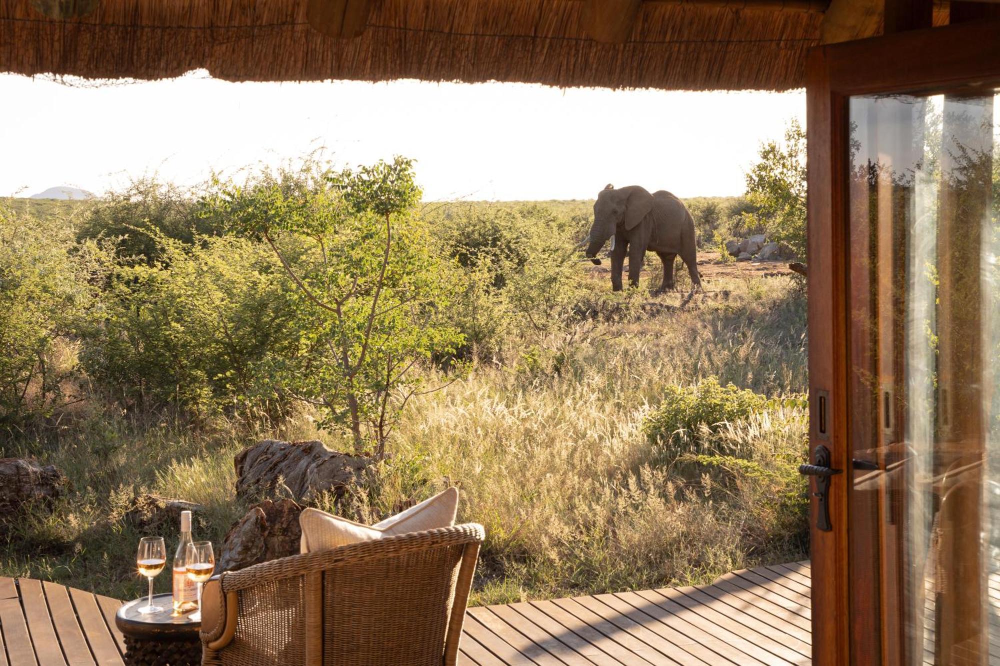 Rhulani Safari Lodge Защитен резерват „Мадикве“ Екстериор снимка